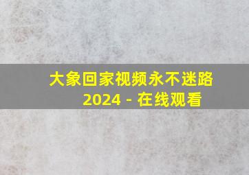 大象回家视频永不迷路2024 - 在线观看